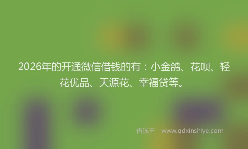2026年的开通微信借钱的有：小金鸽、花呗、轻花优品、天源花、幸福贷等。