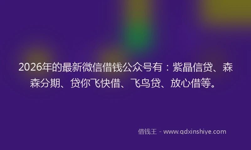 2026年的最新微信借钱公众号有：紫晶信贷、森森分期、贷你飞快借、飞鸟贷、放心借等。