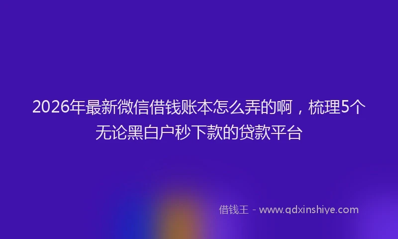 2026年最新微信借钱账本怎么弄的啊，梳理5个无论黑白户秒下款的贷款平台