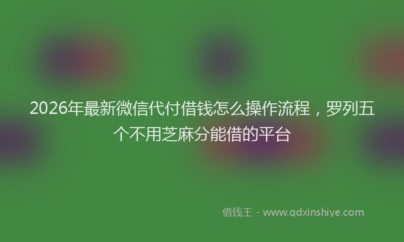 2026年最新微信代付借钱怎么操作流程，罗列五个不用芝麻分能借的平台