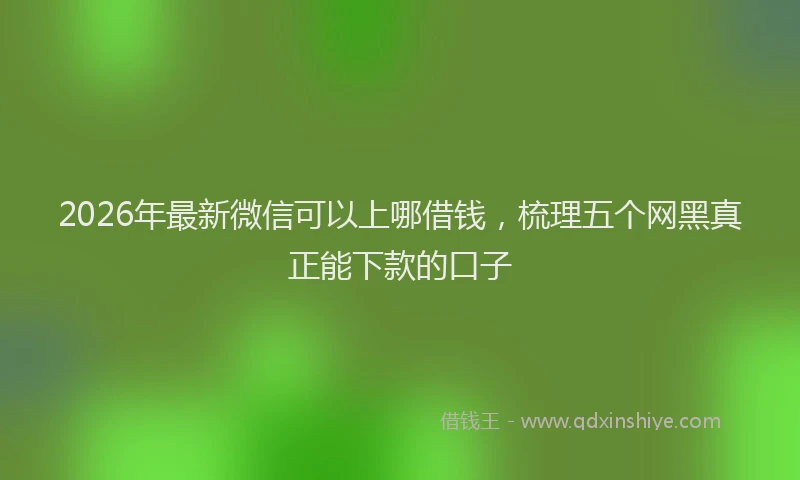 2026年最新微信可以上哪借钱，梳理五个网黑真正能下款的口子