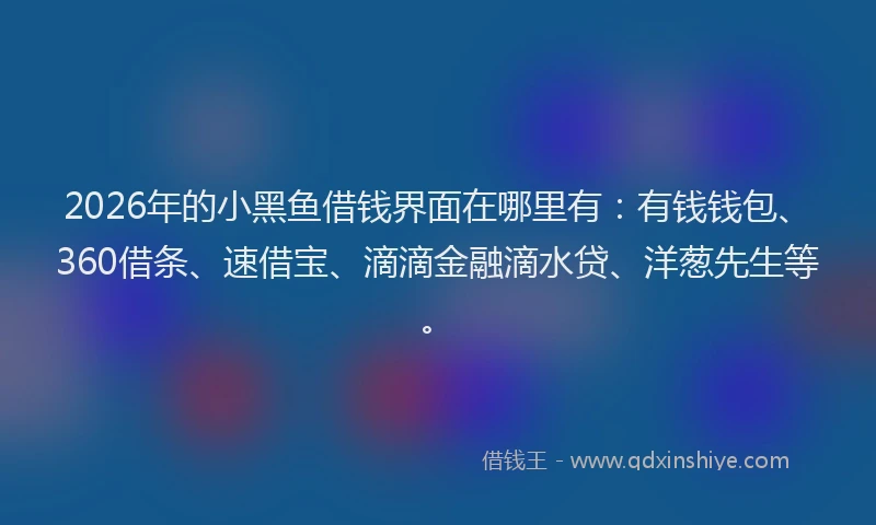 2026年的小黑鱼借钱界面在哪里有:有钱钱包、360借条、速借宝、滴滴金融滴水贷、洋葱先生等。
