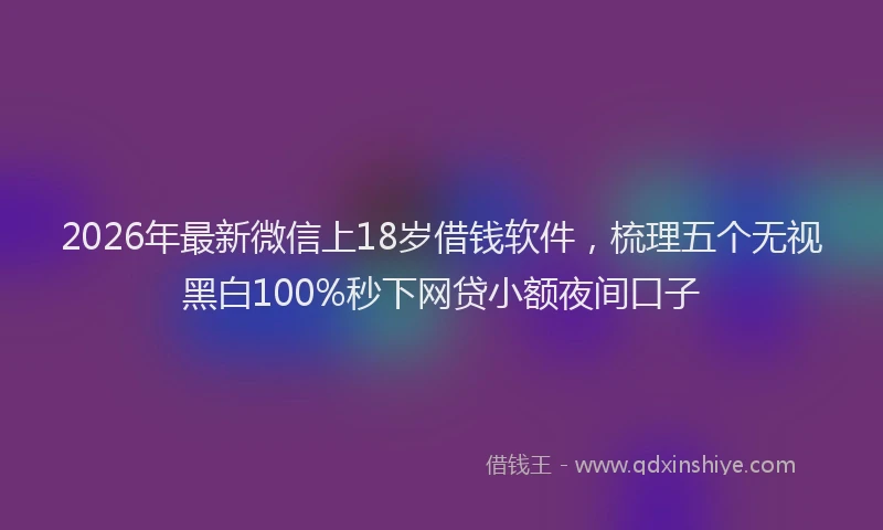 2026年最新微信上18岁借钱软件，梳理五个无视黑白100%秒下网贷小额夜间口子
