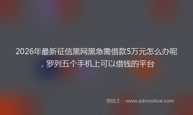 2026年最新征信黑网黑急需借款5万元怎么办呢，罗列五个手机上可以借钱的平台