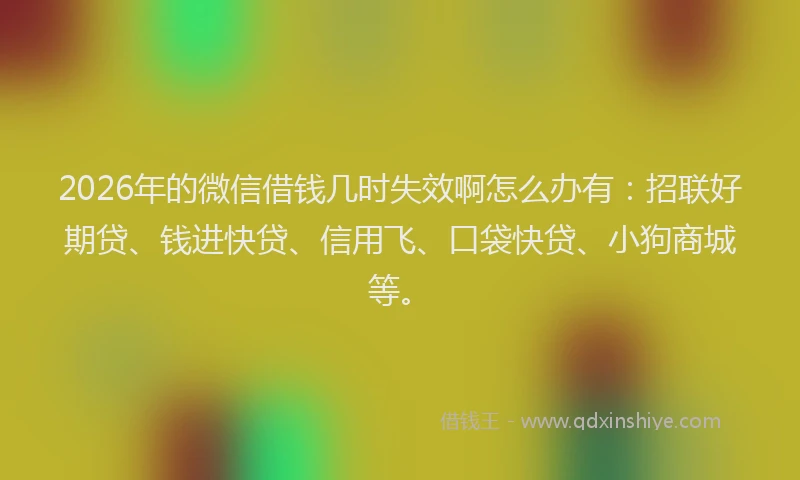 2026年的微信借钱几时失效啊怎么办有：招联好期贷、钱进快贷、信用飞、口袋快贷、小狗商城等。