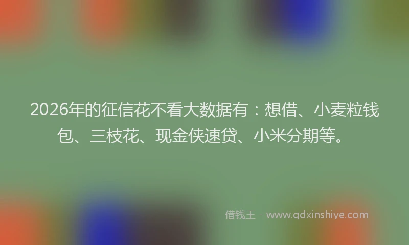 2026年的征信花不看大数据有：想借、小麦粒钱包、三枝花、现金侠速贷、小米分期等。
