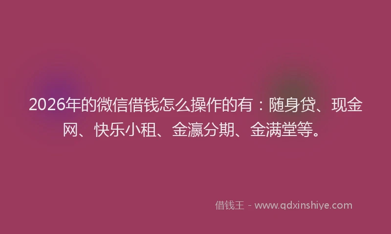 2026年的微信借钱怎么操作的有：随身贷、现金网、快乐小租、金瀛分期、金满堂等。