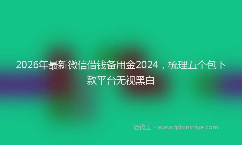 2026年最新微信借钱备用金2024，梳理五个包下款平台无视黑白