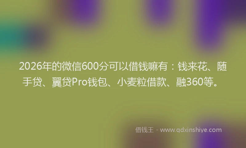 2026年的微信600分可以借钱嘛有：钱来花、随手贷、翼贷Pro钱包、小麦粒借款、融360等。