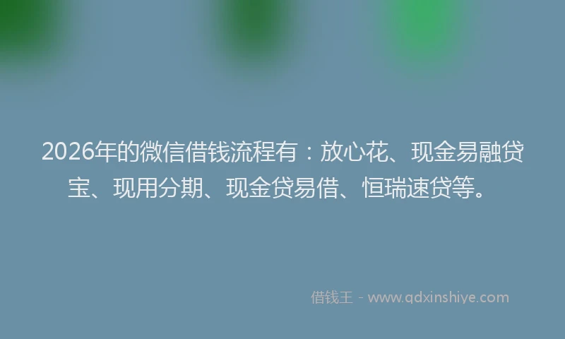 2026年的微信借钱流程有：放心花、现金易融贷宝、现用分期、现金贷易借、恒瑞速贷等。