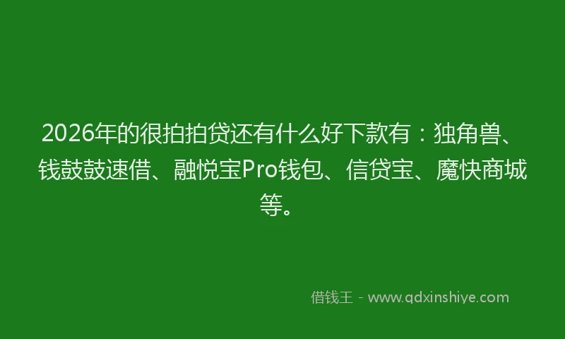 2026年的很拍拍贷还有什么好下款有：独角兽、钱鼓鼓速借、融悦宝Pro钱包、信贷宝、魔快商城等。