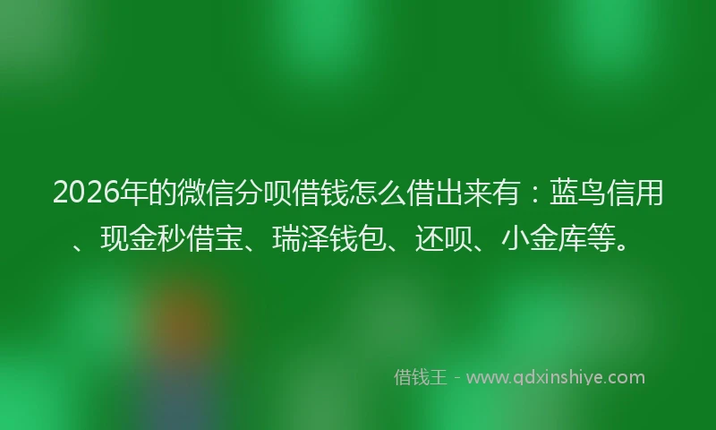 2026年的微信分呗借钱怎么借出来有：蓝鸟信用、现金秒借宝、瑞泽钱包、还呗、小金库等。
