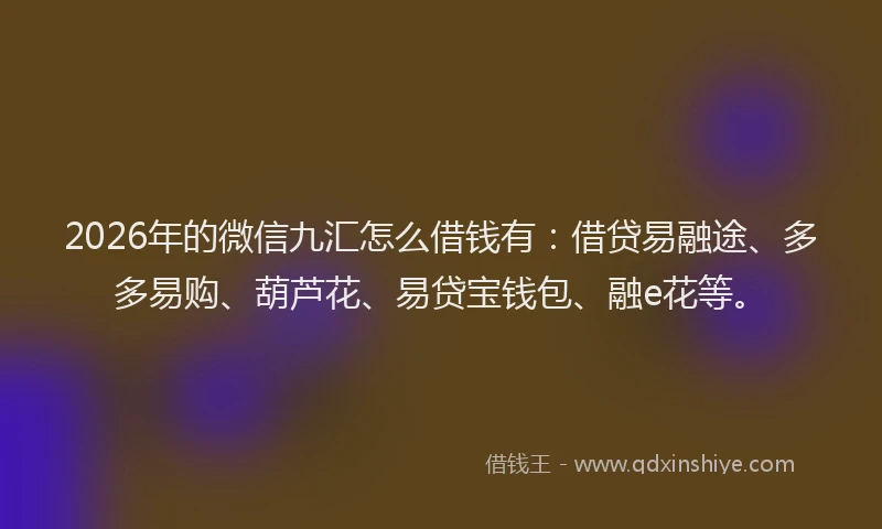 2026年的微信九汇怎么借钱有：借贷易融途、多多易购、葫芦花、易贷宝钱包、融e花等。