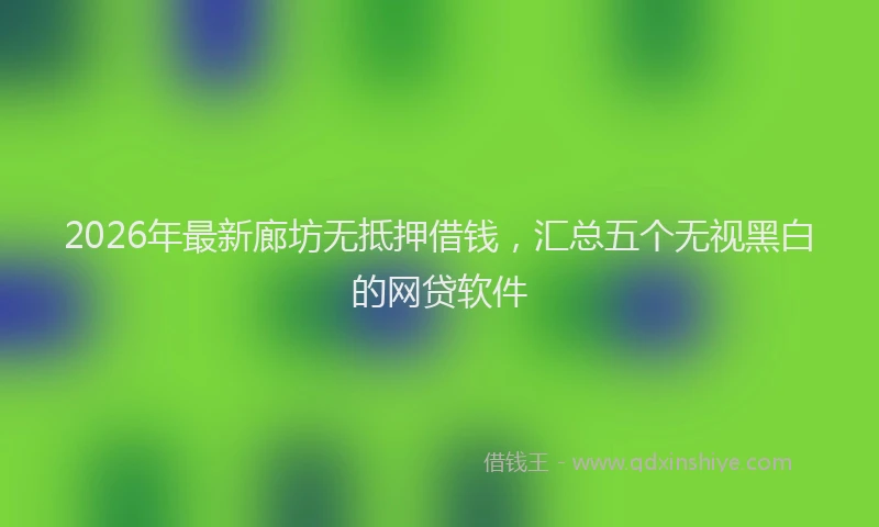 2026年最新廊坊无抵押借钱，汇总五个无视黑白的网贷软件