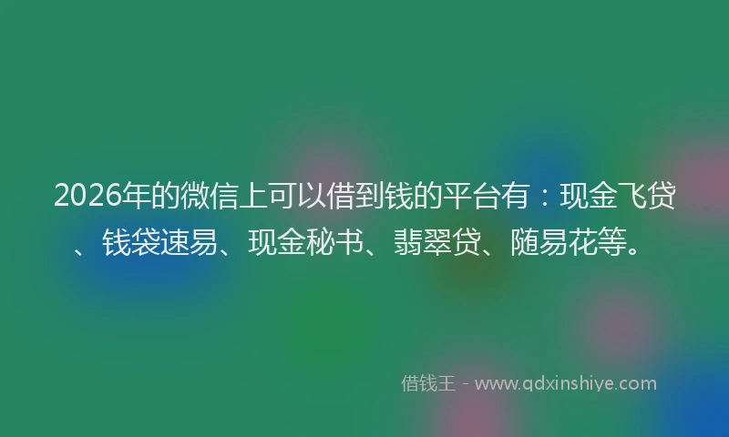 2026年的微信上可以借到钱的平台有：现金飞贷、钱袋速易、现金秘书、翡翠贷、随易花等。