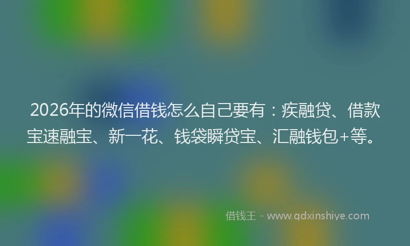 2026年的微信借钱怎么自己要有：疾融贷、借款宝速融宝、新一花、钱袋瞬贷宝、汇融钱包+等。