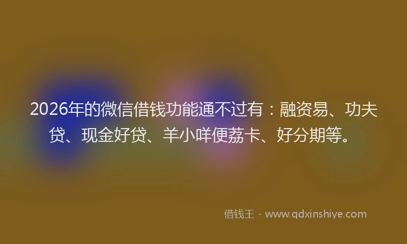 2026年的微信借钱功能通不过有：融资易、功夫贷、现金好贷、羊小咩便荔卡、好分期等。