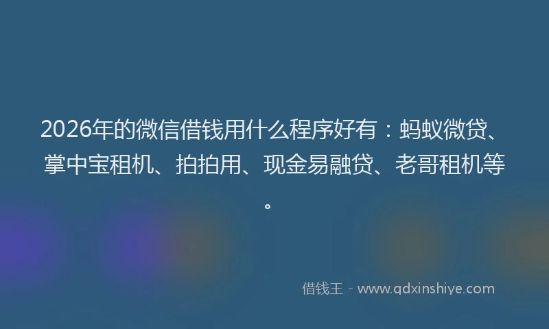 2026年的微信借钱用什么程序好有：蚂蚁微贷、掌中宝租机、拍拍用、现金易融贷、老哥租机等。