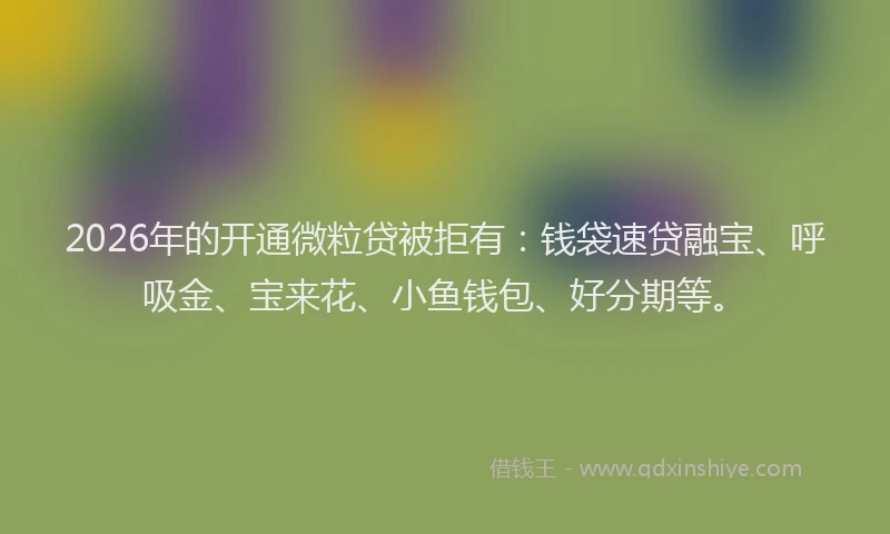 2026年的开通微粒贷被拒有：钱袋速贷融宝、呼吸金、宝来花、小鱼钱包、好分期等。