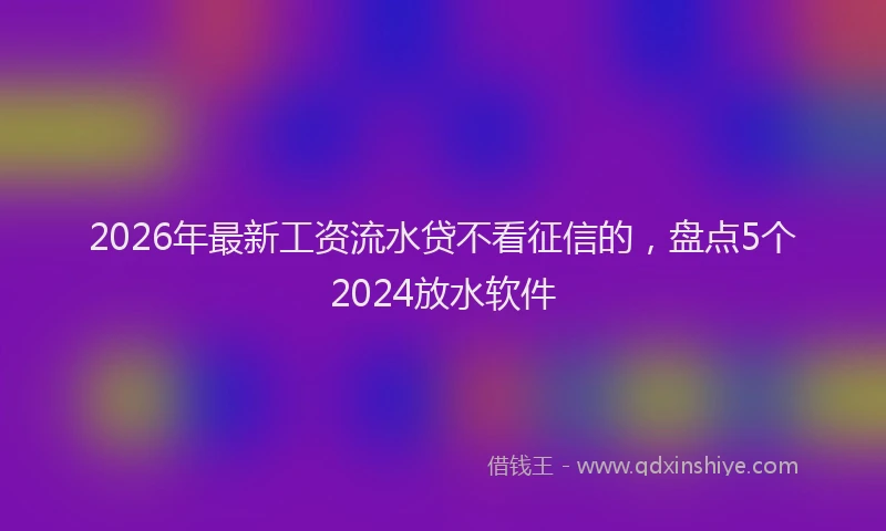 2026年最新工资流水贷不看征信的，盘点5个2024放水软件