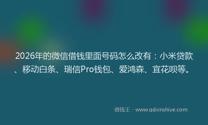 2026年的微信借钱里面号码怎么改有：小米贷款、移动白条、瑞信Pro钱包、爱鸿森、宜花呗等。