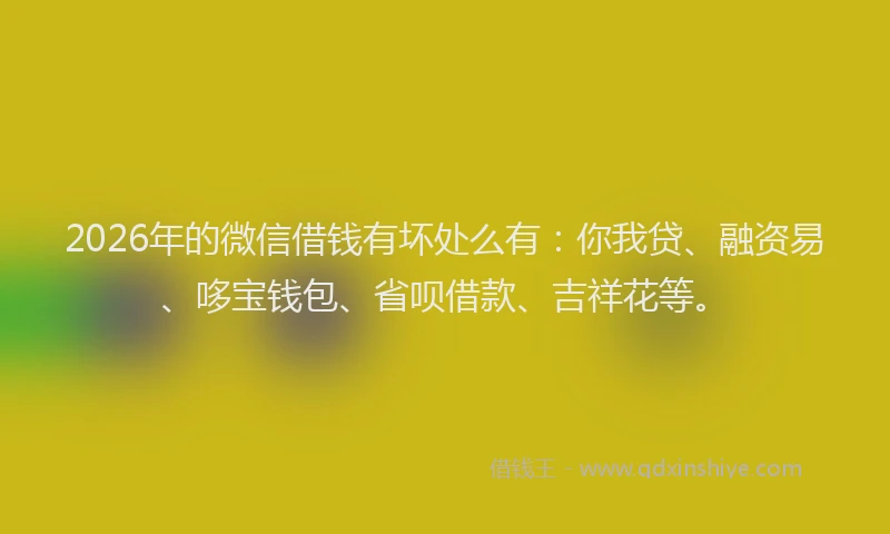 2026年的微信借钱有坏处么有：你我贷、融资易、哆宝钱包、省呗借款、吉祥花等。
