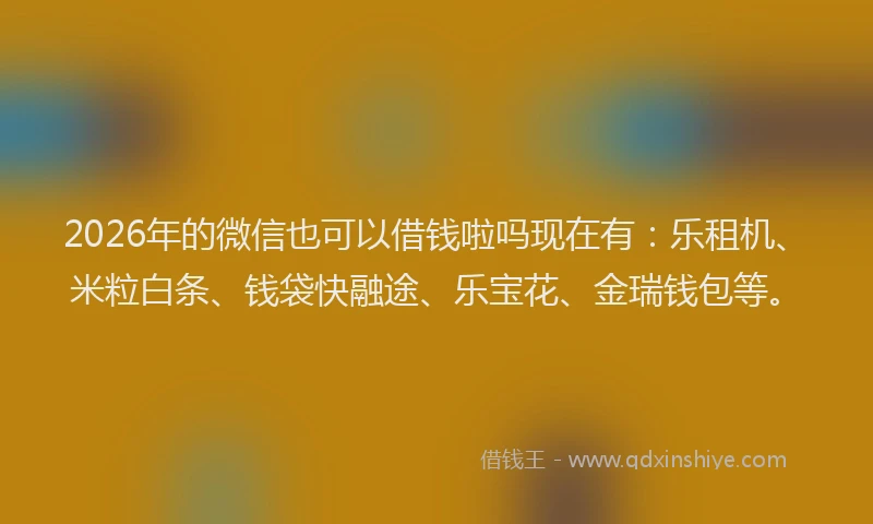 2026年的微信也可以借钱啦吗现在有：乐租机、米粒白条、钱袋快融途、乐宝花、金瑞钱包等。