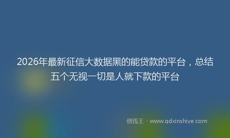 2026年最新征信大数据黑的能贷款的平台，总结五个无视一切是人就下款的平台