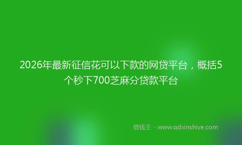 2026年最新征信花可以下款的网贷平台，概括5个秒下700芝麻分贷款平台
