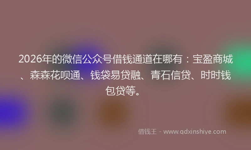 2026年的微信公众号借钱通道在哪有：宝盈商城、森森花呗通、钱袋易贷融、青石信贷、时时钱包贷等。