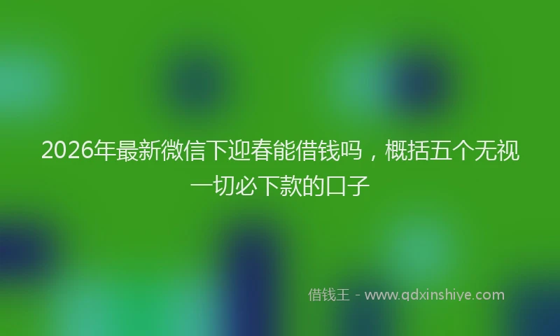 2026年最新微信下迎春能借钱吗，概括五个无视一切必下款的口子