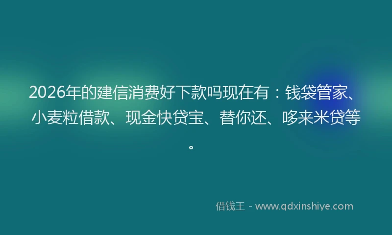 2026年的建信消费好下款吗现在有：钱袋管家、小麦粒借款、现金快贷宝、替你还、哆来米贷等。