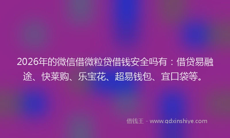 2026年的微信借微粒贷借钱安全吗有：借贷易融途、快莱购、乐宝花、超易钱包、宜口袋等。