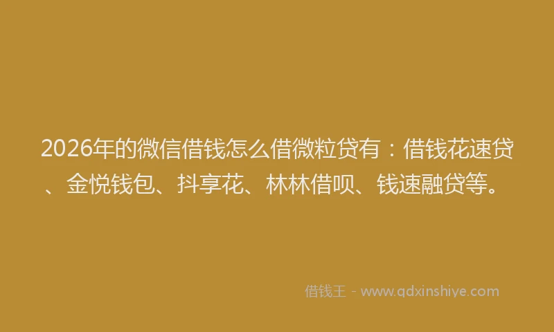2026年的微信借钱怎么借微粒贷有：借钱花速贷、金悦钱包、抖享花、林林借呗、钱速融贷等。
