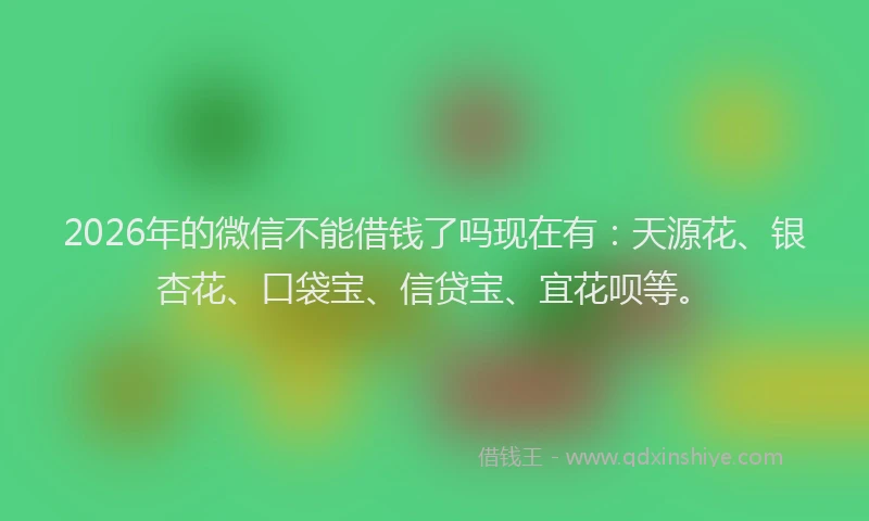 2026年的微信不能借钱了吗现在有：天源花、银杏花、口袋宝、信贷宝、宜花呗等。