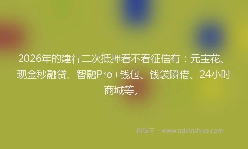 2026年的建行二次抵押看不看征信有：元宝花、现金秒融贷、智融Pro+钱包、钱袋瞬借、24小时商城等。