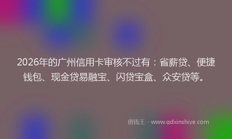 2026年的广州信用卡审核不过有：省薪贷、便捷钱包、现金贷易融宝、闪贷宝盒、众安贷等。