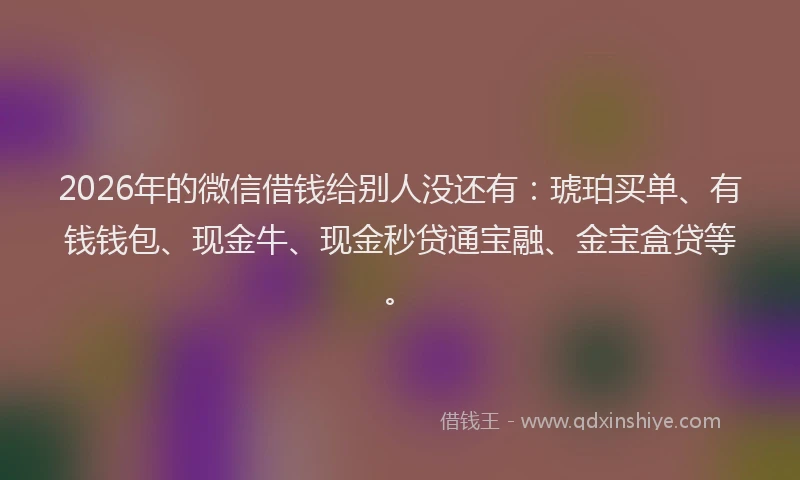 2026年的微信借钱给别人没还有：琥珀买单、有钱钱包、现金牛、现金秒贷通宝融、金宝盒贷等。