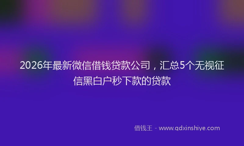 2026年最新微信借钱贷款公司，汇总5个无视征信黑白户秒下款的贷款