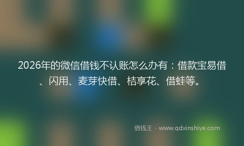 2026年的微信借钱不认账怎么办有：借款宝易借、闪用、麦芽快借、桔享花、借蛙等。