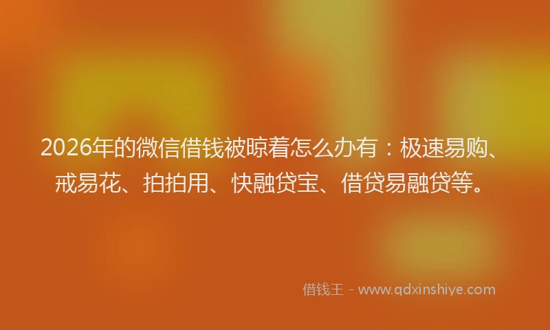 2026年的微信借钱被晾着怎么办有：极速易购、戒易花、拍拍用、快融贷宝、借贷易融贷等。