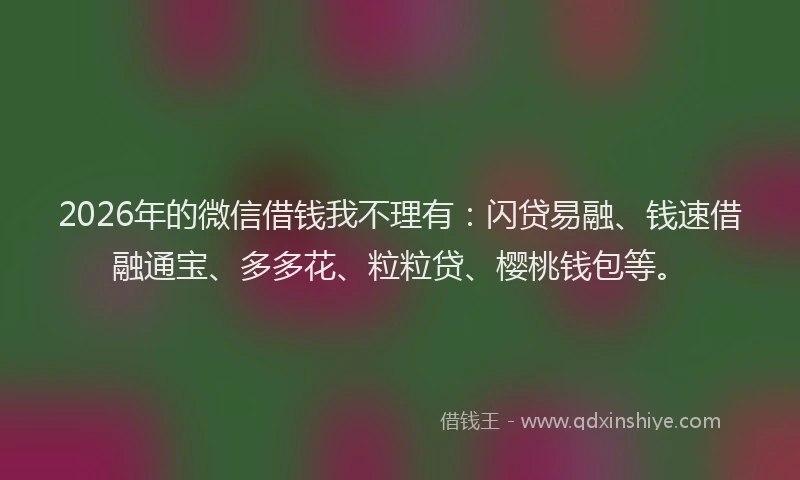 2026年的微信借钱我不理有：闪贷易融、钱速借融通宝、多多花、粒粒贷、樱桃钱包等。