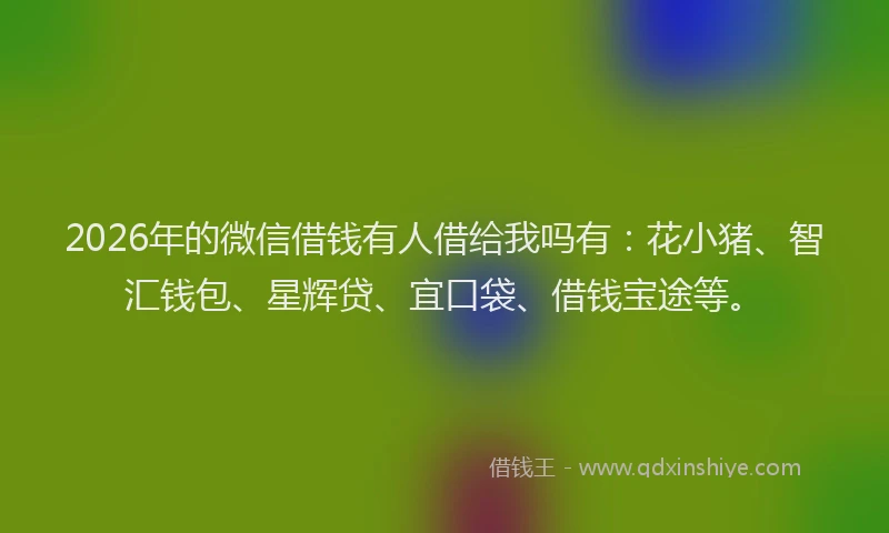 2026年的微信借钱有人借给我吗有：花小猪、智汇钱包、星辉贷、宜口袋、借钱宝途等。