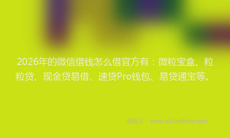 2026年的微信借钱怎么借官方有：微粒宝盒、粒粒贷、现金贷易借、速贷Pro钱包、易贷通宝等。