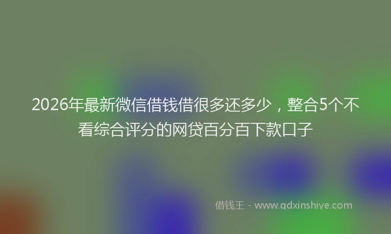 2026年最新微信借钱借很多还多少，整合5个不看综合评分的网贷百分百下款口子