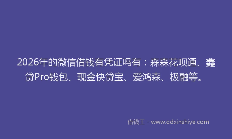 2026年的微信借钱有凭证吗有：森森花呗通、鑫贷Pro钱包、现金快贷宝、爱鸿森、极融等。
