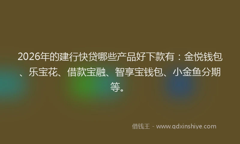 2026年的建行快贷哪些产品好下款有：金悦钱包、乐宝花、借款宝融、智享宝钱包、小金鱼分期等。