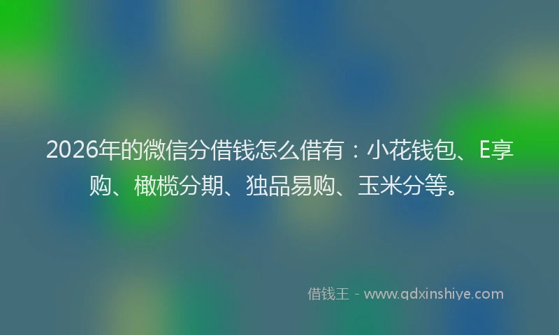 2026年的微信分借钱怎么借有：小花钱包、E享购、橄榄分期、独品易购、玉米分等。