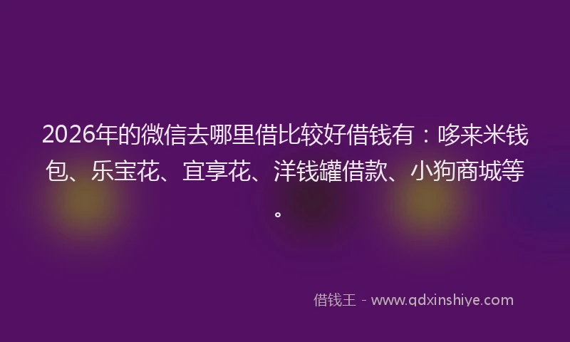 2026年的微信去哪里借比较好借钱有：哆来米钱包、乐宝花、宜享花、洋钱罐借款、小狗商城等。