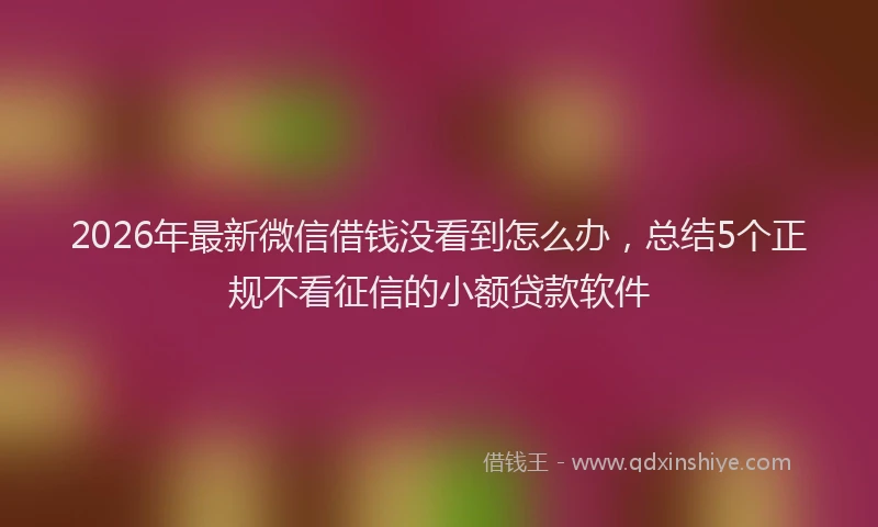 2026年最新微信借钱没看到怎么办，总结5个正规不看征信的小额贷款软件